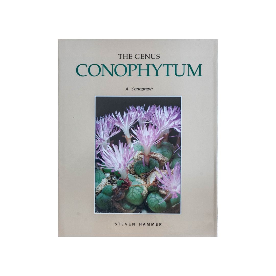 New Views of the Genus Conophytum コノフィツム Dumpling and His Wife: New Views of the Genus Conophytum by