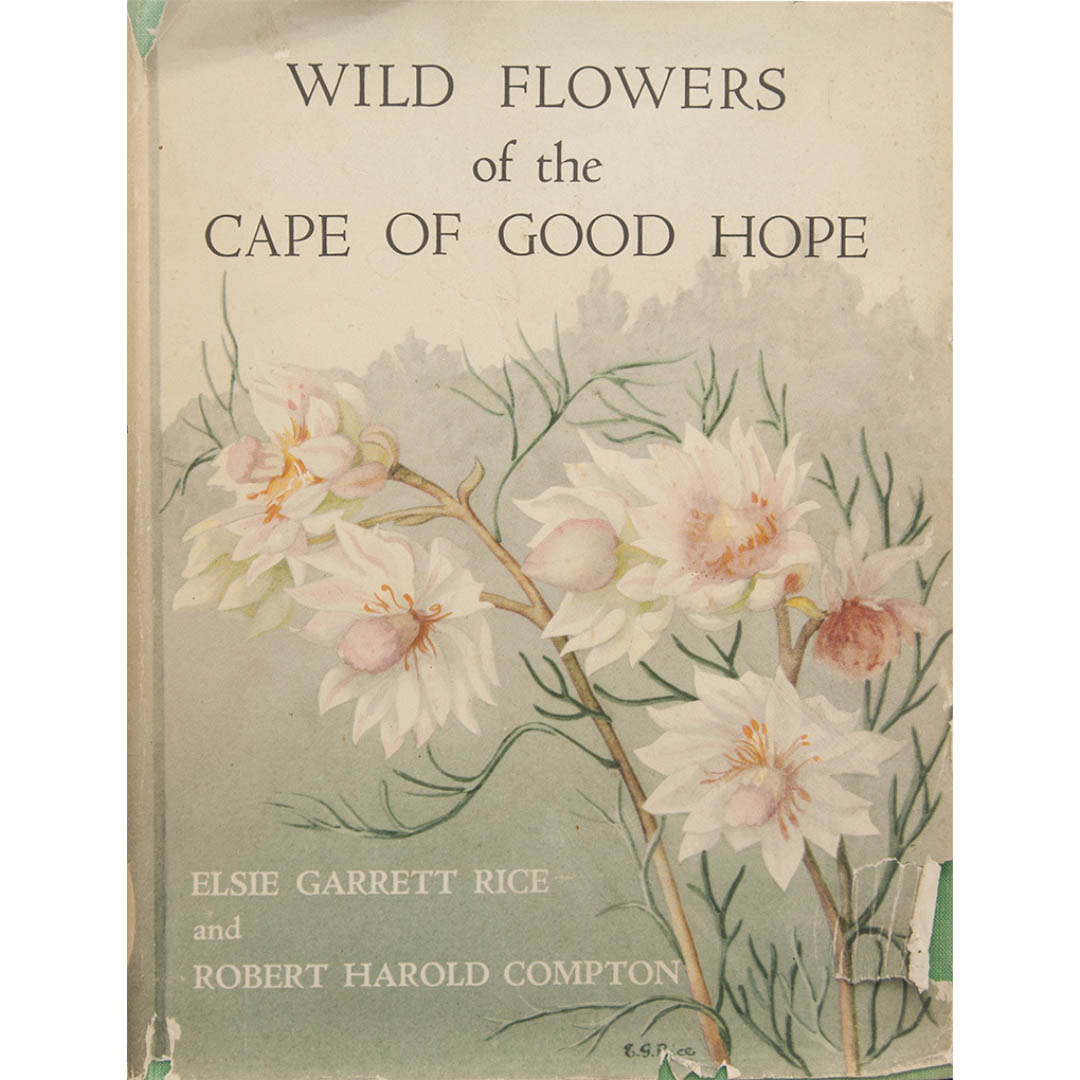 Wild Flowers of the Cape of Good Hope (Second hand) seeds - Buy online