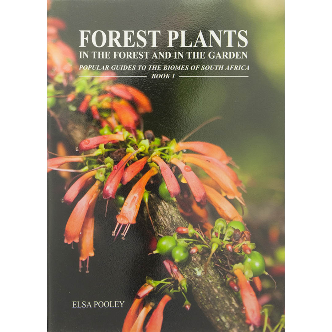 Forest Plants - In the Forest and in the Garden seeds - Buy online