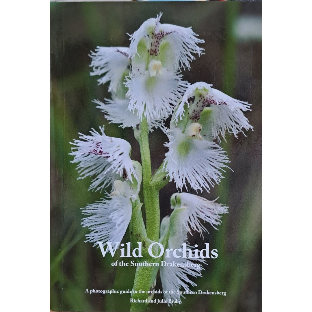 世界の野生蘭ORCHID　ATLAS VOL.4 デンドロビウム・バルボフィルム Wild Orchids of the Southern Drakensberg seeds - Buy online