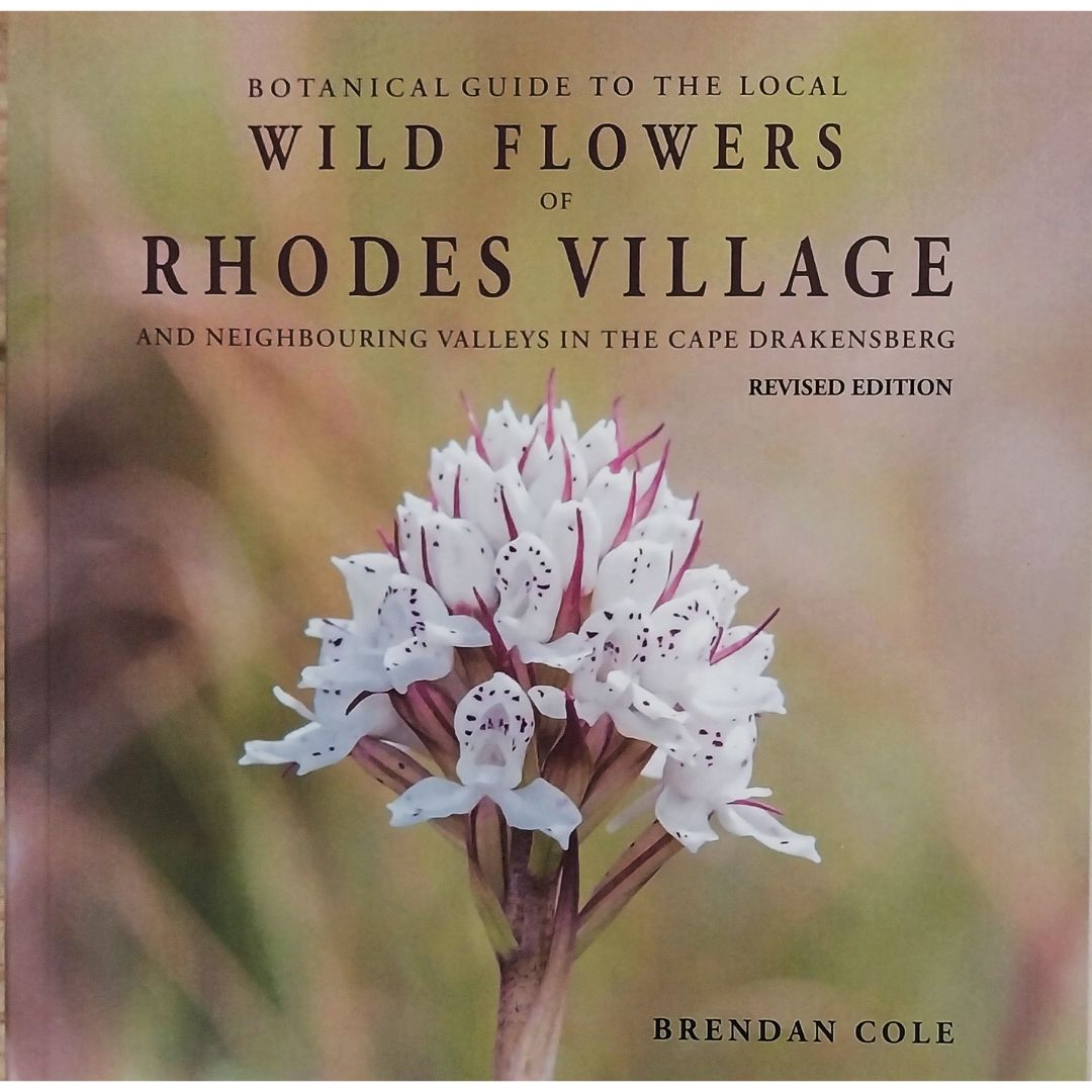Botanical Guide to the local WILD FLOWERS of RHODES VILLAGE and