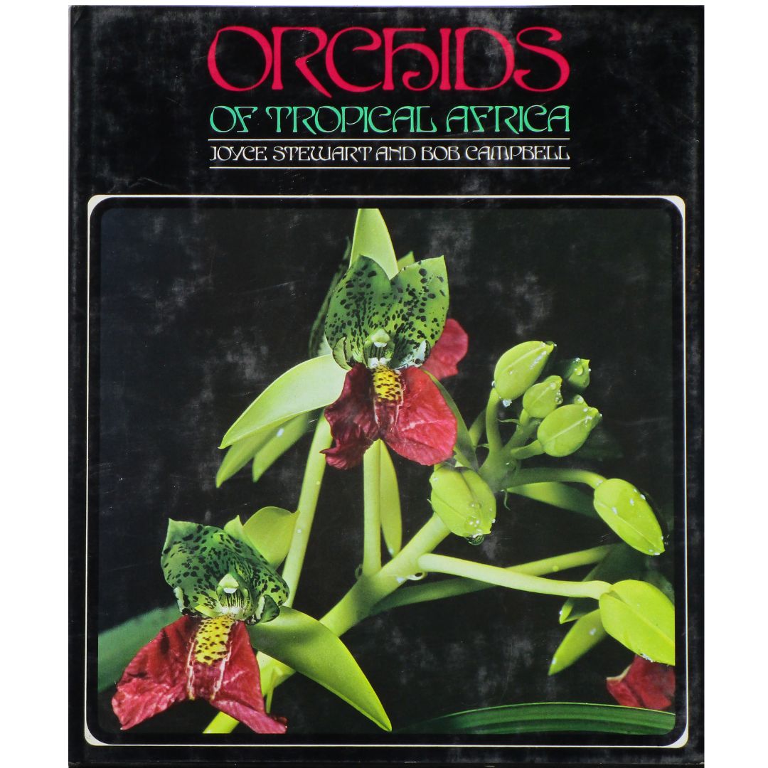 Orchids.jpg